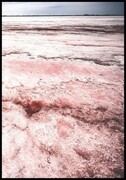 Plakat różowe jezioro Fotobloki & decor