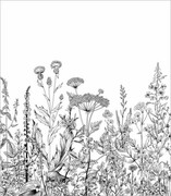 Próbka tapety botaniczna łąka De Art s.c.