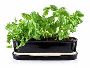 Osłonka porcelanowa MODERN LIFE 32x9.5xh10cm czarna MONDEX