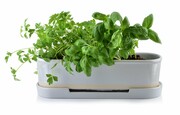 Osłonka porcelanowa MODERN LIFE 32x9.5xh10cm biała MONDEX