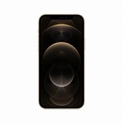 Smartfon Apple iPhone 12 Pro 256GB - zdjęcie 34