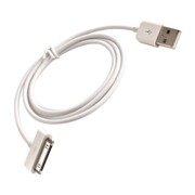 TelForceOne Kabel USB - 30-pin 1,0 m 1A biały woreczek TelForceOne