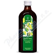 WELEDA BIO Sok brzozowy (bez cukru) 250ml