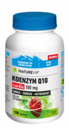 NatureVia Koenzym Q10 Cardio 100mg cps.120 _BII-CH
