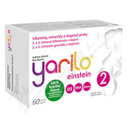 Yarilo einstein 2 tob.60