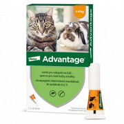 Advantage 40mg Małe koty+króliki spot-on 1×0,4ml KVP-D