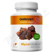 MycoMedica Ohňovec cps.120 _MYF-CZ