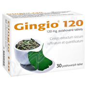 Gingio 120mg tbl.flm.30x120mg SFS-D