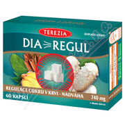 TEREZIA Diaregul cps.60 _TCV-CZ