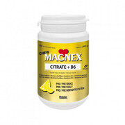Magnex Citrate 375mg+B6 chew tbl.100 VIB-SF