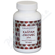 NATURVITA KASZTANOWIEC POSPOLITY plus 60 kapsułek