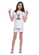 Piżama dziecięca Chihuahua 788/108 Cornette