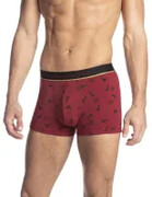 Szorty M 959SZG Lama