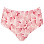 Figi Simple Rose Flakes classic Julimex