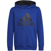Bluza dla dzieci adidas Youth Essentials Hoodi niebieska HN1912 adidas