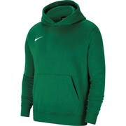 Bluza dla dzieci Nike Park 20 Fleece Pullover Hoodie zielona CW6896 302 Nike Team