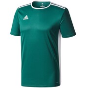 Koszulka dla dzieci adidas Entrada 18 Jersey JUNIOR zielona CE9563 adidas teamwear