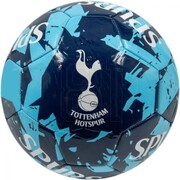 Piłka nożna Tottenham Hotspur 70098224 Tottenham Hotspur