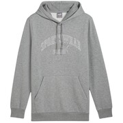 Bluza męska Puma Ess+ Logo LAB Gradient Hoodie FL szara 681775 03 Puma
