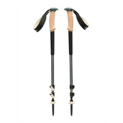 Kije trekkingowe Black Diamond TRAIL CORK TREKKING POLES - laurel green Black Diamond
