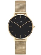 ZEGAREK DAMSKI DANIEL WELLINGTON DW00100345 - PETITE EVERGOLD 36mm (zw500f) Daniel Wellington