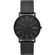 Zegarek Męski SKAGEN Signatur SKW6902 + BOX Skagen
