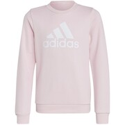 Bluza dla dzieci adidas Essentials Big Logo Sweatshirt różowa IC6119 adidas