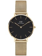 ZEGAREK DAMSKI DANIEL WELLINGTON DW00100349 - PETITE EVERGOLD 28mm (zw501c) Daniel Wellington