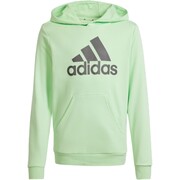 Bluza dla dzieci adidas Big Logo Essentials Cotton Hoodie jasnozielona IS2591 adidas