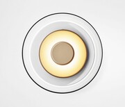 MOOSEE lampa ścienna EDEN WALL złota Moosee
