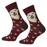 SKARPETY LABRADOR Krebo