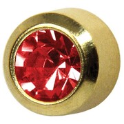 Kolczyki Garnet w oprawie pełnej kolor złoty r Studex Plus Studex