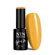 Lakier hybrydowy NTN Premium Multicolor Collection 5g Nr 84 NTN Premium