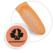 Brokat do paznokci w słoiczku Nr 120 2g Allepaznokcie
