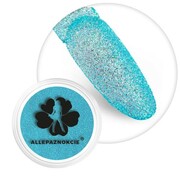 Brokat do paznokci w słoiczku Nr 127 2g Allepaznokcie