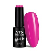 Lakier hybrydowy LED/UV Gel Polish NTN Premium Delight Sorbet Collection Nr 150 5 g NTN Premium