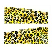 Naklejki wodne do paznokci arkusz 6,5 x 5,5 cm na 10 palców a Nr 109 Allepaznokcie