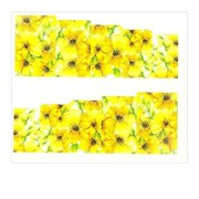 Naklejki wodne do paznokci arkusz 6,5 x 5,5 cm na 10 palców a Nr 052 Allepaznokcie