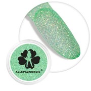 Brokat do paznokci w słoiczku Nr 27 2g Allepaznokcie