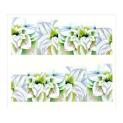 Naklejki wodne do paznokci arkusz 6,5 x 5,5cm na 10 palców A055 Allepaznokcie