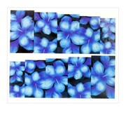 Naklejki wodne do paznokci arkusz 6,5 x 5,5 cm na 10 palców Nr 1581 Allepaznokcie