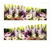 Naklejki wodne do paznokci arkusz 6,5 x 5,5 cm na 10 palców Nr a053 Allepaznokcie