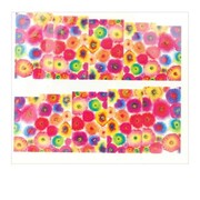 Naklejki wodne do paznokci arkusz 6,5 x 5,5 cm na 10 palców yb Nr 801 Allepaznokcie