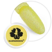 Brokat do paznokci w słoiczku Nr 94 2g Allepaznokcie