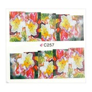 Naklejki wodne do paznokci arkusz 7 x 6,5 cm na 10 palców Nr c257 Allepaznokcie