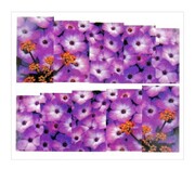 Naklejki wodne do paznokci arkusz 6,5 x 5,5 cm na 10 palców Nr 1588 Allepaznokcie