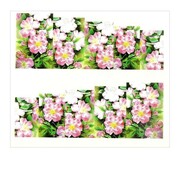 Naklejki wodne do paznokci arkusz 6,5 x 5,5 cm na 10 palców a Nr 075 Allepaznokcie