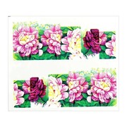 Naklejki wodne do paznokci arkusz 6,5 x 5,5 cm na 10 palców a Nr 156 Allepaznokcie