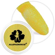 Brokat do paznokci w słoiczku Nr 111 2g Allepaznokcie