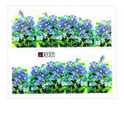 Naklejki wodne do paznokci arkusz 6,5 x 5,5 cm na 10 palców a Nr 107 Allepaznokcie